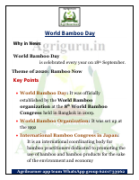 world bamboo day final.pdf